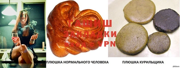 крисы Новозыбков